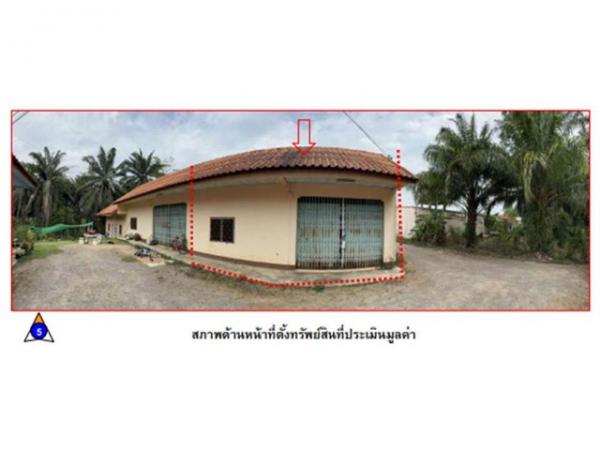 ขายบ้าน ชุมพร ขายบ้าน ชุมพร