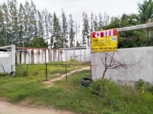 ������ �� zionasset1