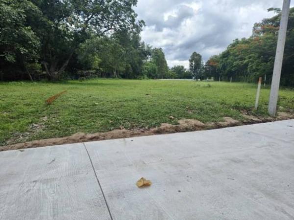 �ҧ�� �� northern1