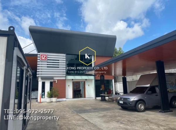 �ҧ� �� Kong property