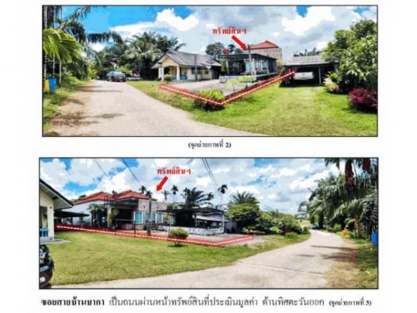 ��µ�ѧ �� panaya.opalopal