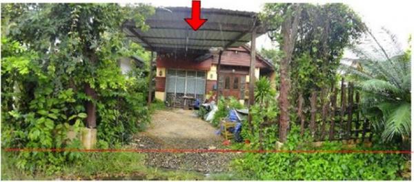 ��µ�ѧ �� panaya.opalopal