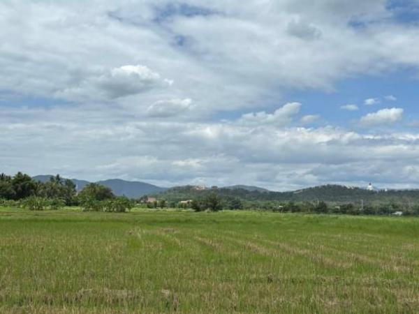 ������� �� onanong khumaphao