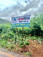 ��·��Թ �Ҥһ�С�Ȣ�� 3,700,000 �ҷ