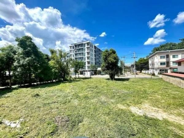 ���Թ���ͧ �� onanong khumaphao