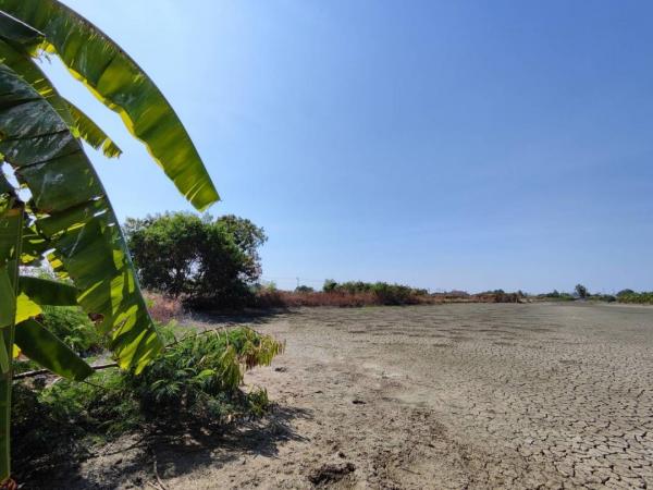 �ҧ��Ҹ� �� JumPL