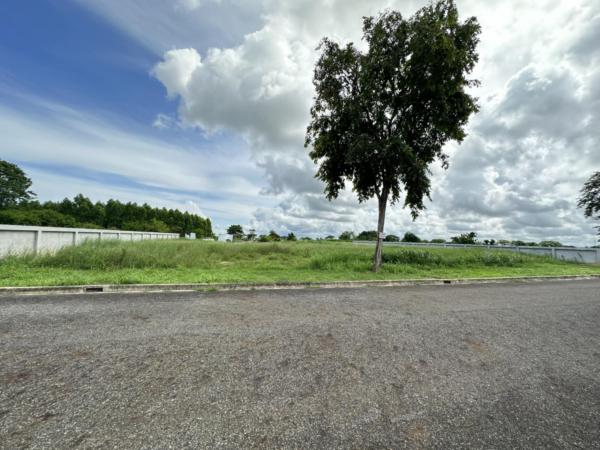 ที่ดิน pattaya ที่ดิน pattaya