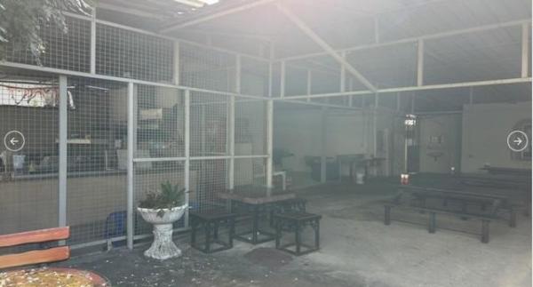 �֧���� �� ��ͼ��