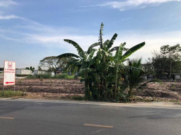 �����ҹ� �� mairudee