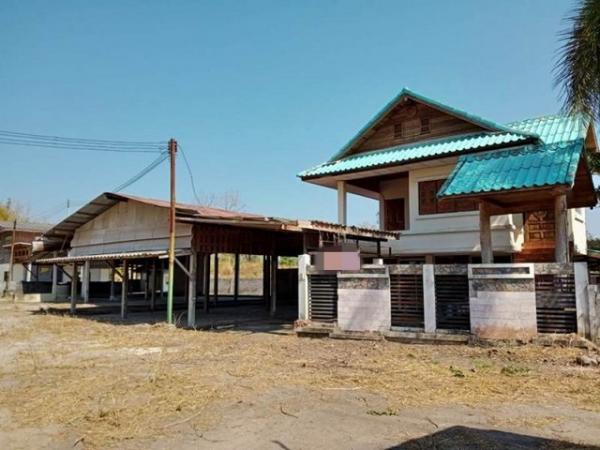 ����� �� panaya.opalopal