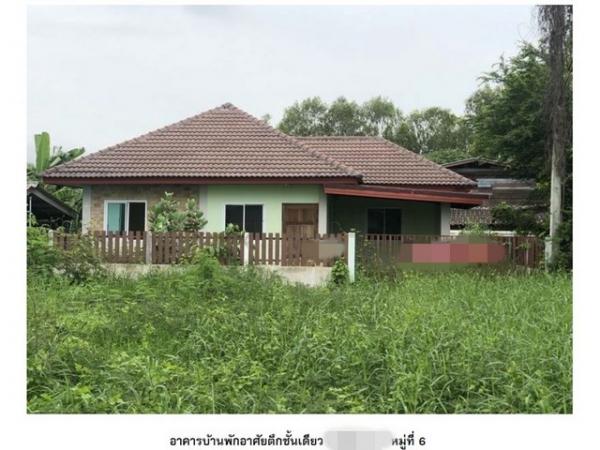 ��ɳ��š �� panaya.opalopal