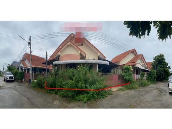 ��ɳ��š �� compos2566