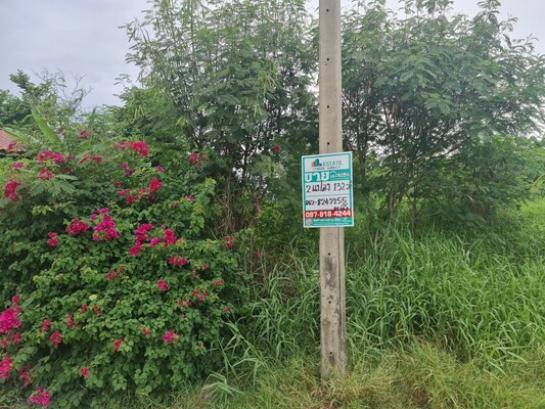 �ҧ��� �� Estate Corner