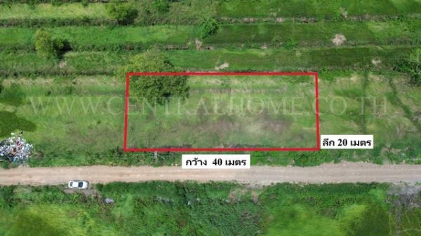 �����ҹ� �� central2