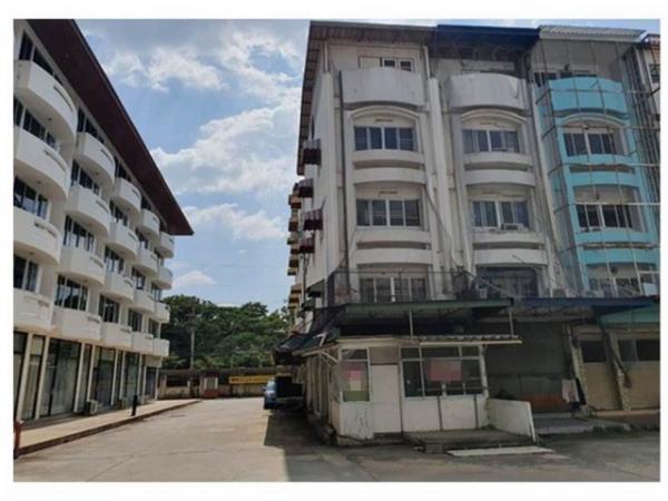 ��ɳ��š �� compos2566