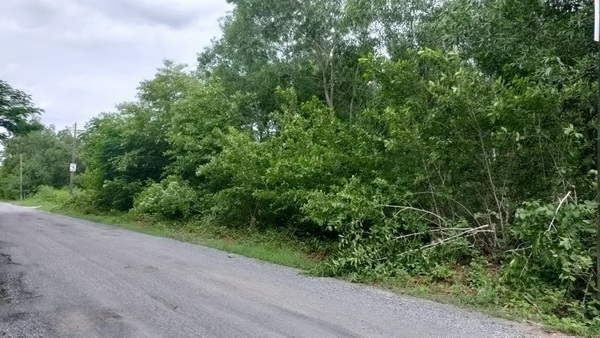 ���Թ���ҧ��ҹ�ѡ����� ��ͧ��ǧ