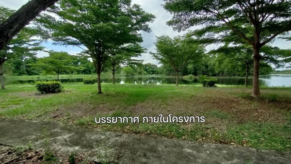 ���Թ�֡80���� ��ͧ��ǧ