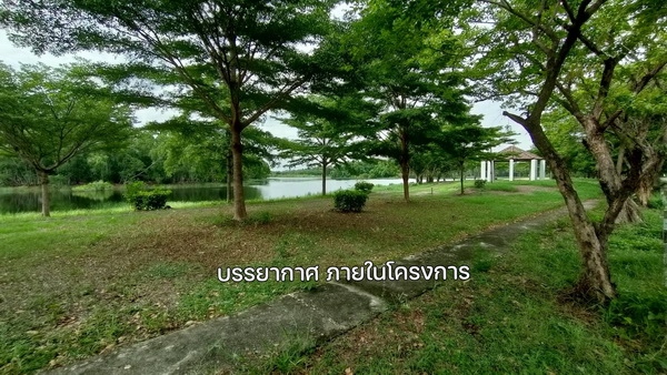 ���Թ俿�Ҿ���� ��ͧ��ǧ