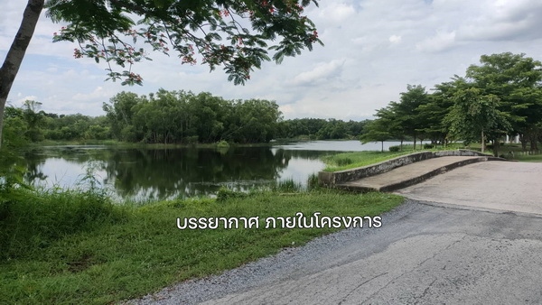 ���Թ��ͧ��ǧ ��ͧ��ǧ