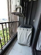 �͹� 56 ���ҧ���úҧ���� ��ا෾