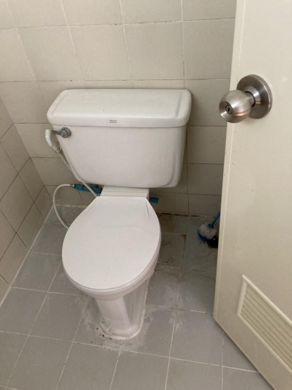 �͹������� ˹ͧ��