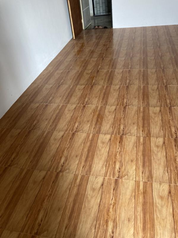 �͹������� ˹ͧ��