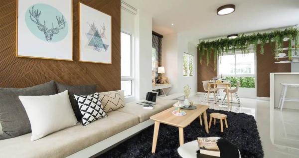 �չ���� �� DD Asset �Ѻ��������ѧ�������Ѿ��