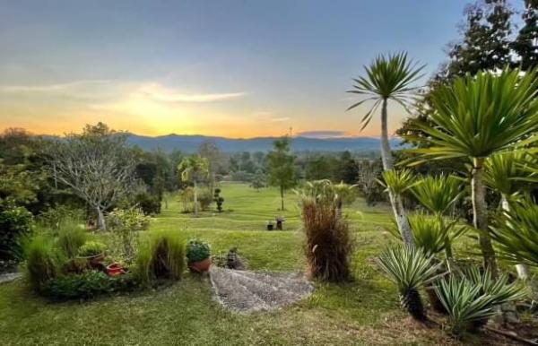 ������ �� onanong khumaphao