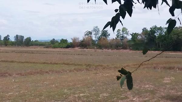 ที่ดิน ทำนา ที่ดิน ทำนา