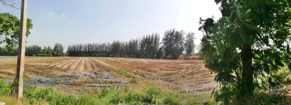 ที่ดิน ทำนา ที่ดิน ทำนา