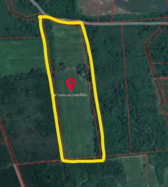 ����Ҫ���� �� domepost66