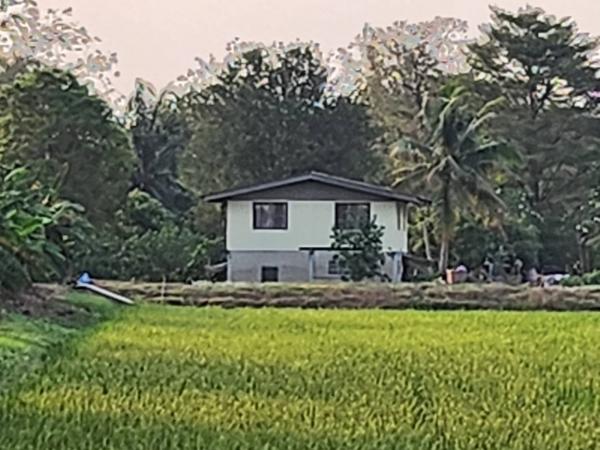 ที่ดิน 21 ไร่ ที่ดิน 21 ไร่