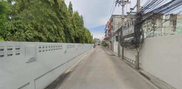 ����ҹ���� �� HarrisonTH