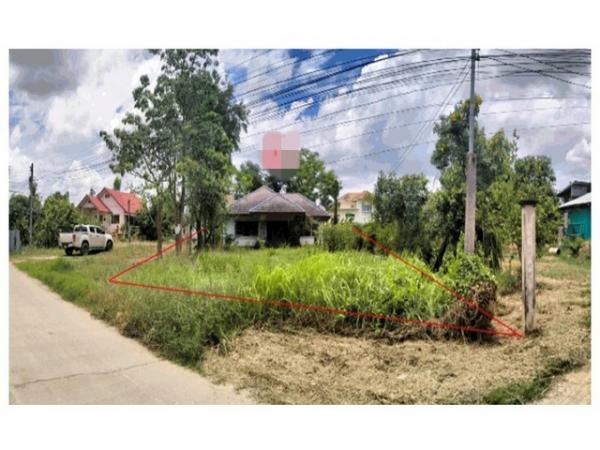 ��ɳ��š �� panaya.opalopal