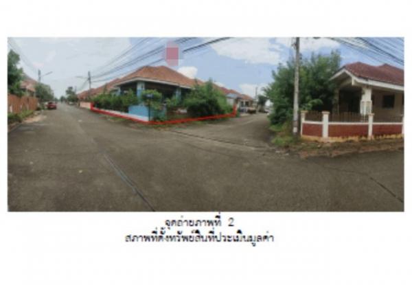 ��ɳ��š �� panaya.opalopal