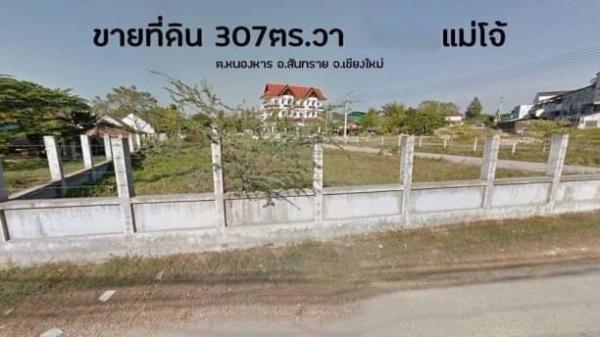 �ѹ���� �� onanong khumaphao