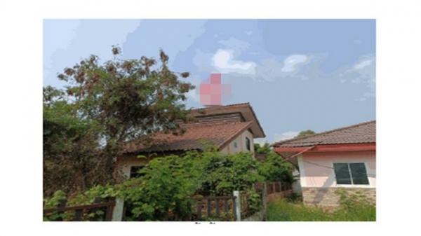 ��ɳ��š �� compos2566