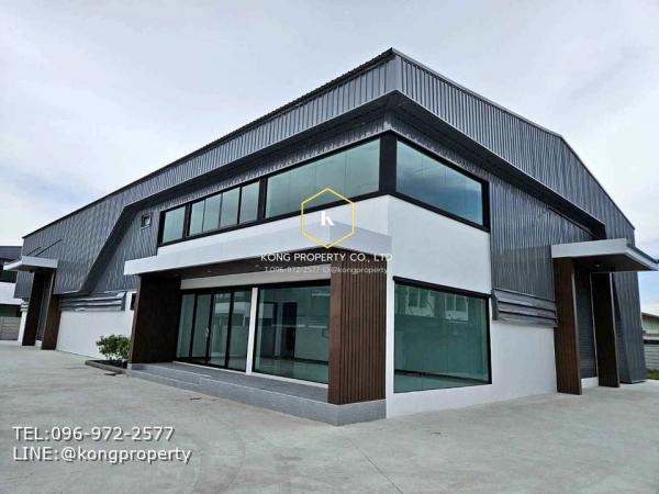 ��¹�û�� �� Kong property