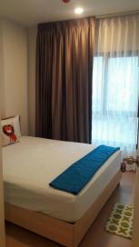 ��¤͹� �ǹ��ǧ ��ا෾