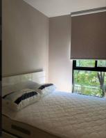 �͹� �ǹ��ǧ 26 ���ҧ����