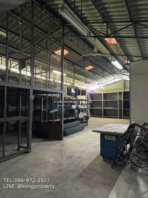 ����Ѳ�� �� Kong property