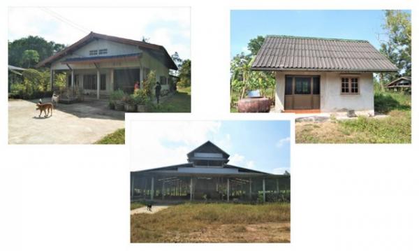 ��¹����ո����Ҫ �� panaya.opalopal