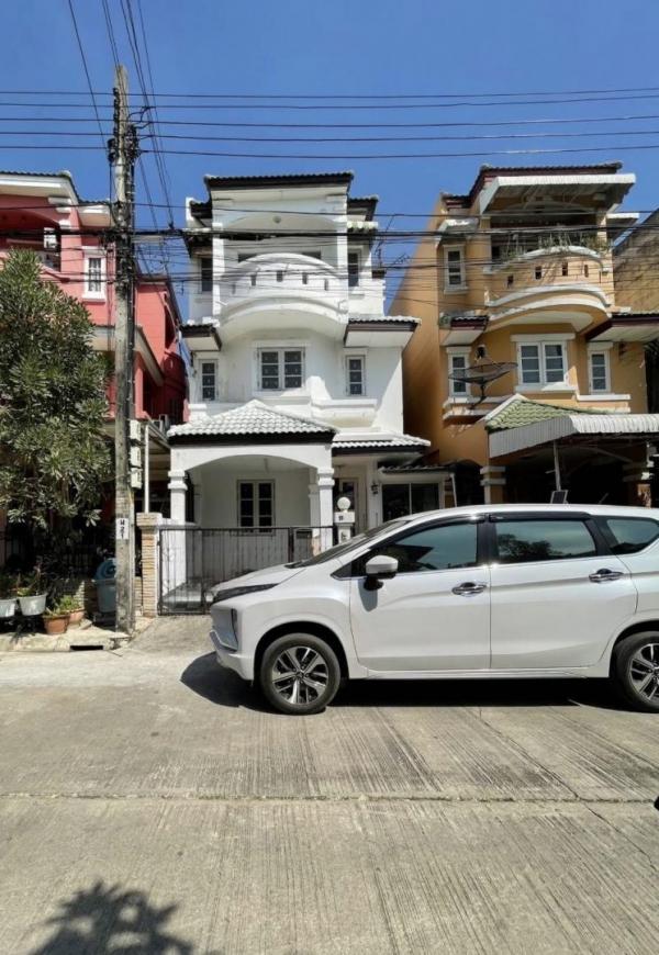 ��´͹���ͧ �� coasset22