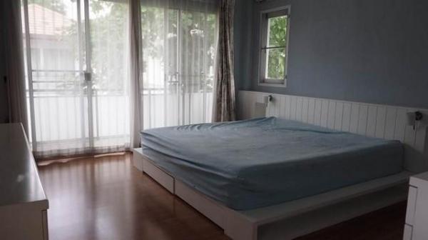 �ҧ�л� �� ��ͼ��