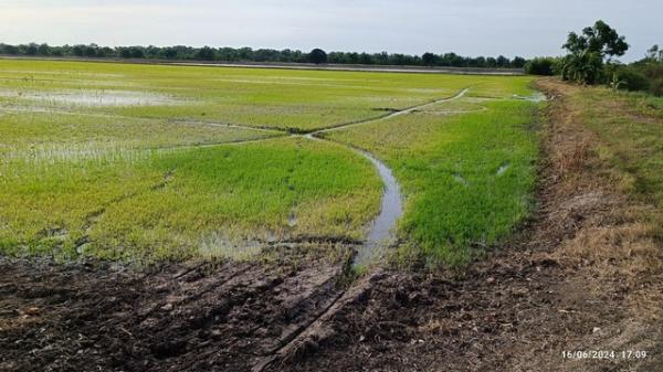 ���Թ 42 ���