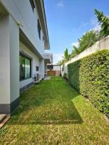 ��ҹ ������