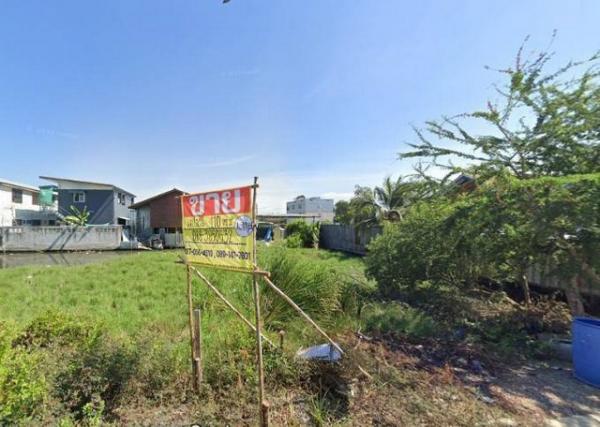 ��ا෾ �� zionasset1