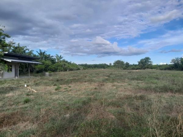 ��ª���� �� zionasset1