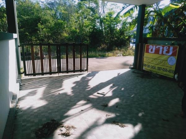 ������ �� zionasset1