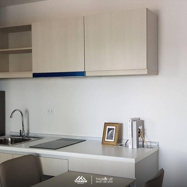 �Ҵ����� �� Yoknewproperty